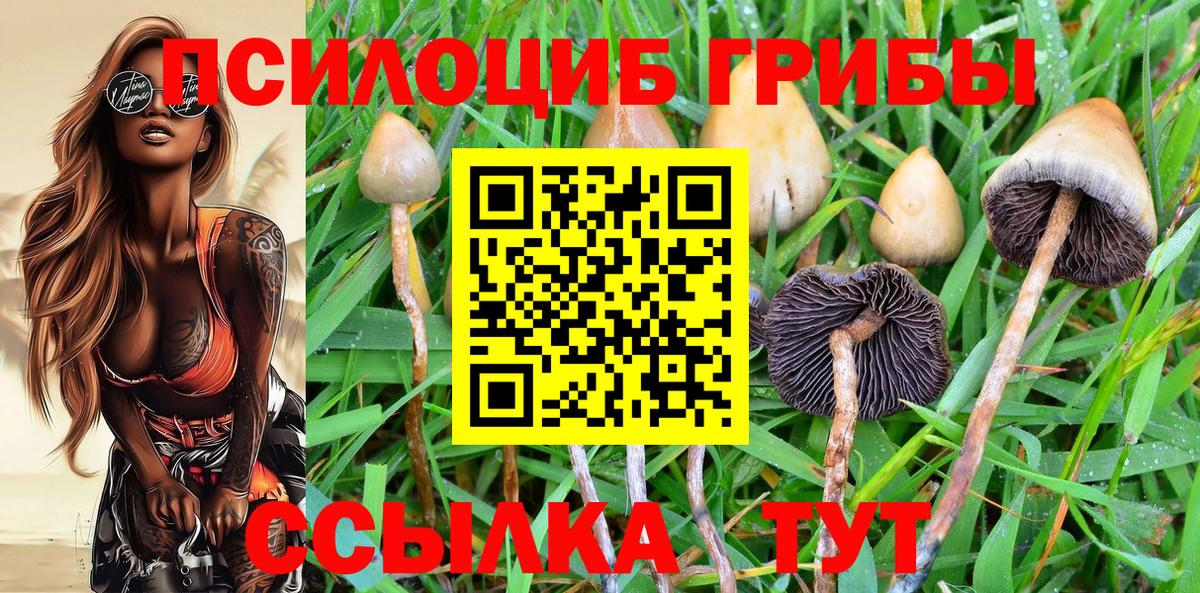 Псилоцибиновые грибы прущие грибы  как найти наркотики  Сергиев Посад  Вход с VPN 